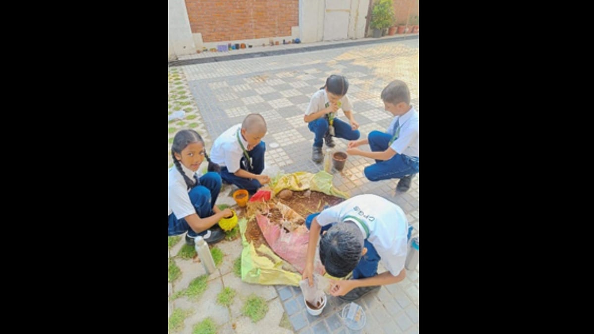 Tree Plantation Drive